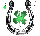 horseshoe and clover leaf
