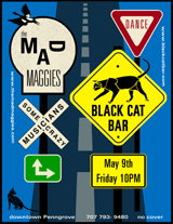 black cat may 2008