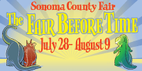 soco fair poster